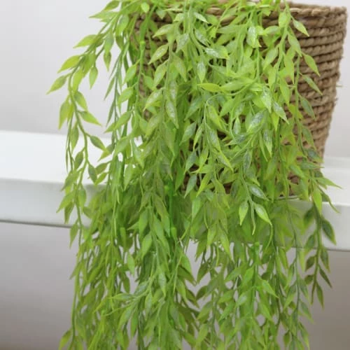 Ligne Déco Plantes D'intérieur Et Fleurs D'intérieur 2 Chutes De Feuillage Bambou Artificielles Effet Blanchi 90cm 7 Ligne Déco Plantes D'intérieur Et Fleurs D'intérieur 2 Chutes De Feuillage Bambou Artificielles Effet Blanchi 90cm – Image 5