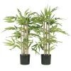 Ligne Déco Plantes D'intérieur Et Fleurs D'intérieur 2 Plantes Vertes Artificielles Bambou 200 Feuilles, H.70cm -Parasols Soldes Magasin 2 plantes vertes artificielles bambou 200 feuilles h 70cm