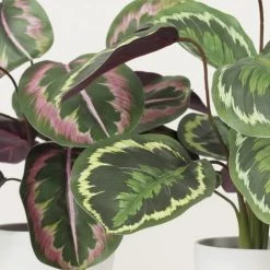Ligne Déco Plantes D'intérieur Et Fleurs D'intérieur 2 Plantes Vertes Artificielles Calatheas En Pot, H.45cm -Parasols Soldes Magasin 2 plantes vertes artificielles calatheas en pot h 45cm 2