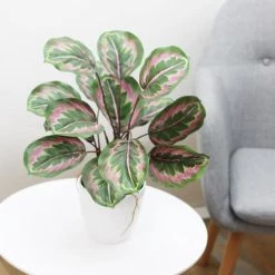 Ligne Déco Plantes D'intérieur Et Fleurs D'intérieur 2 Plantes Vertes Artificielles Calatheas En Pot, H.45cm -Parasols Soldes Magasin 2 plantes vertes artificielles calatheas en pot h 45cm 3