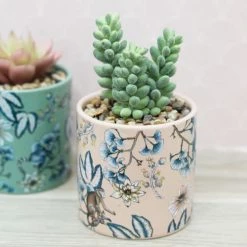 Ligne Déco Plantes D'intérieur Et Fleurs D'intérieur 2 Plantes Vertes Artificielles De Bureau Pot Céramique, H.10cm -Parasols Soldes Magasin 2 plantes vertes artificielles de bureau pot ceramique h 10cm 4