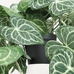 Ligne Déco Plantes D'intérieur Et Fleurs D'intérieur 2 Plantes Vertes Artificielles Retombantes En Pot, H.85cm -Parasols Soldes Magasin 2 plantes vertes artificielles retombantes en pot h 85cm 2