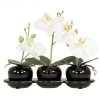 Ligne Déco Plantes D'intérieur Et Fleurs D'intérieur 3 Mini-Plantes Artificielles Orchidée Toucher Naturel, H.20cm -Parasols Soldes Magasin 3 mini plantes artificielles orchidee toucher naturel h 20cm