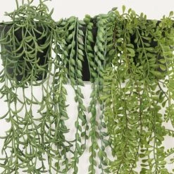 Ligne Déco Plantes D'intérieur Et Fleurs D'intérieur 3 Plantes Vertes Artificielles Succulentes En Pot, H.60cm -Parasols Soldes Magasin 3 plantes vertes artificielles succulentes en pot h 60cm 2