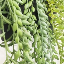 Ligne Déco Plantes D'intérieur Et Fleurs D'intérieur 3 Plantes Vertes Artificielles Succulentes En Pot, H.60cm -Parasols Soldes Magasin 3 plantes vertes artificielles succulentes en pot h 60cm 3