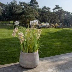 Now’s Home Plantes D'intérieur Et Fleurs D'intérieur Allium De Naples Artificiel Fleurs Beige Pot Zinc H78cm -Parasols Soldes Magasin allium de naples artificiel fleurs beige pot zinc h78cm 2