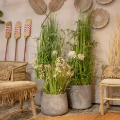 Now’s Home Plantes D'intérieur Et Fleurs D'intérieur Allium De Naples Artificiel Fleurs Beige Pot Zinc H78cm -Parasols Soldes Magasin allium de naples artificiel fleurs beige pot zinc h78cm 4