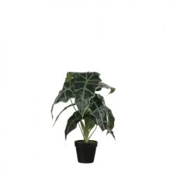 Mica Decorations Plantes D'intérieur Et Fleurs D'intérieur Alocasia Artificielle En Pot H50