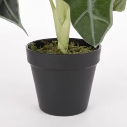 Mica Decorations Plantes D'intérieur Et Fleurs D'intérieur Alocasia Artificielle En Pot H50 -Parasols Soldes Magasin alocasia artificielle en pot h50 3