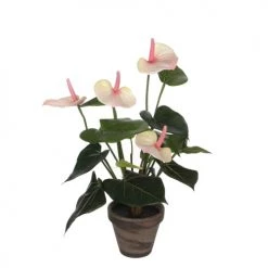 Mica Decorations Plantes D'intérieur Et Fleurs D'intérieur Anthurium Artificielle Rose Clair En Pot H38