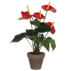 Mica Decorations Plantes D'intérieur Et Fleurs D'intérieur Anthurium Artificielle Rouge En Pot H38