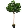 Outsunny Plantes D'intérieur Et Fleurs D'intérieur Arbre Artificiel Alstonia H1,2m -Parasols Soldes Magasin arbre artificiel alstonia h1 2m