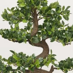 Ligne Déco Plantes D'intérieur Et Fleurs D'intérieur Arbre Artificiel Bonsaï Plante Verte Buis Japonais, H.70cm -Parasols Soldes Magasin arbre artificiel bonsai plante verte buis japonais h 70cm 2