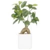 Ligne Déco Plantes D'intérieur Et Fleurs D'intérieur Arbre Artificiel Bonsaï Plante Verte Ficus, H.30cm -Parasols Soldes Magasin arbre artificiel bonsai plante verte ficus h 30cm