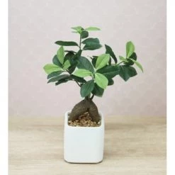 Ligne Déco Plantes D'intérieur Et Fleurs D'intérieur Arbre Artificiel Bonsaï Plante Verte Ficus, H.30cm -Parasols Soldes Magasin arbre artificiel bonsai plante verte ficus h 30cm 2