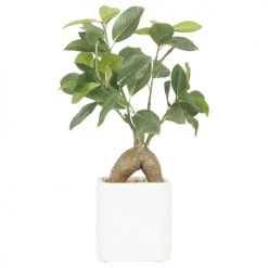 Ligne Déco Plantes D'intérieur Et Fleurs D'intérieur Arbre Artificiel Bonsaï Plante Verte Ficus, H.30cm