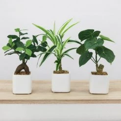Ligne Déco Plantes D'intérieur Et Fleurs D'intérieur Arbre Artificiel Bonsaï Plante Verte Ficus, H.30cm -Parasols Soldes Magasin arbre artificiel bonsai plante verte ficus h 30cm 3