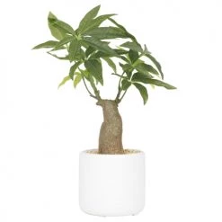 Ligne Déco Plantes D'intérieur Et Fleurs D'intérieur Arbre Artificiel Bonsaï Plante Verte Pachira, H.35cm