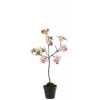 LANADECO Plantes D'intérieur Et Fleurs D'intérieur Arbre En Fleurs Plastique Rose/marron H50cm -Parasols Soldes Magasin arbre en fleurs plastique rose marron h50cm