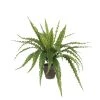 Mica Decorations Plantes D'intérieur Et Fleurs D'intérieur Asplenium Artificielle En Pot H50 -Parasols Soldes Magasin asplenium artificielle en pot h50