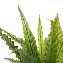 Mica Decorations Plantes D'intérieur Et Fleurs D'intérieur Asplenium Artificielle En Pot H50 -Parasols Soldes Magasin asplenium artificielle en pot h50 2