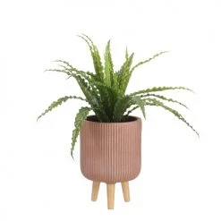 Mica Decorations Plantes D'intérieur Et Fleurs D'intérieur Asplenium Artificielle En Pot H50 -Parasols Soldes Magasin asplenium artificielle en pot h50 5