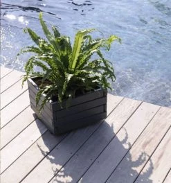 Jardipolys Pots, Cache-pots Et Jardinières D'extérieur Bac à Fleurs Carré - 40cm -Parasols Soldes Magasin bac a fleurs carre 40cm 3