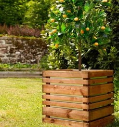 Jardipolys Pots, Cache-pots Et Jardinières D'extérieur Bac à Fleurs En Bois Teinté Marron L-50cm -Parasols Soldes Magasin bac a fleurs en bois teinte marron l 50cm 2