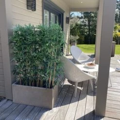 Now’s Home Plantes D'intérieur Et Fleurs D'intérieur Bambou Artificiel H158 -Parasols Soldes Magasin bambou artificiel h158 2