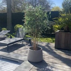 Now’s Home Plantes D'intérieur Et Fleurs D'intérieur Bambou Artificiel H175 -Parasols Soldes Magasin bambou artificiel h175 2