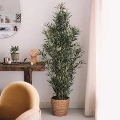 Oviala Plantes D'intérieur Et Fleurs D'intérieur Bambou Bissetii Artificiel Avec Feuillage En Tissu H170cm -Parasols Soldes Magasin bambou bissetii artificiel avec feuillage en tissu h170cm 1
