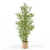 Oviala Plantes D'intérieur Et Fleurs D'intérieur Bambou Bissetii Artificiel Avec Feuillage En Tissu H170cm -Parasols Soldes Magasin bambou bissetii artificiel avec feuillage en tissu h170cm