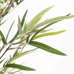 Oviala Plantes D'intérieur Et Fleurs D'intérieur Bambou Bissetii Artificiel Avec Feuillage En Tissu H170cm -Parasols Soldes Magasin bambou bissetii artificiel avec feuillage en tissu h170cm 4