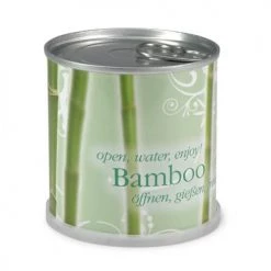 Mac Flower's Plantes D'intérieur Et Fleurs D'intérieur Bambou Prêt à Pousser En Canette