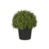 Sia Deco Plantes D'intérieur Et Fleurs D'intérieur Boule De Buis En Pot H33 -Parasols Soldes Magasin boule de buis en pot h33