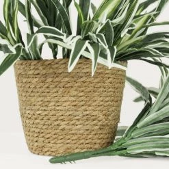 Ligne Déco Plantes D'intérieur Et Fleurs D'intérieur Bouquet De Feuillage Artificiel En Piquet Mur Végétal H.45cm -Parasols Soldes Magasin bouquet de feuillage artificiel en piquet mur vegetal h 45cm 3