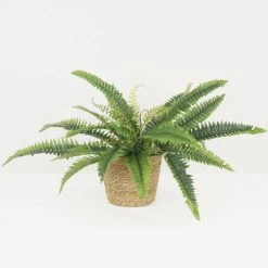 Ligne Déco Plantes D'intérieur Et Fleurs D'intérieur Bouquet Feuillage Artificiel Fougère Piquet Mur Végétal H.55cm -Parasols Soldes Magasin bouquet feuillage artificiel fougere piquet mur vegetal h 55cm 1