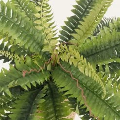 Ligne Déco Plantes D'intérieur Et Fleurs D'intérieur Bouquet Feuillage Artificiel Fougère Piquet Mur Végétal H.55cm -Parasols Soldes Magasin bouquet feuillage artificiel fougere piquet mur vegetal h 55cm 2