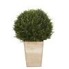 Maisons Du Monde Plantes D'extérieur Artificielles Buis Artificiel En Pot Vert Et Beige -Parasols Soldes Magasin buis artificiel en pot vert et beige 1000 15 35 220369 2