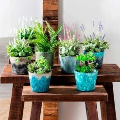 Ixia Pots, Cache-pots Et Jardinières D'extérieur Cache-pot Bleu Clair En Céramique Vieillie D14cm -Parasols Soldes Magasin cache pot bleu clair en ceramique vieillie d14cm 1