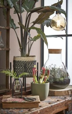 Mica Decorations Pots, Cache-pots Et Jardinières D'extérieur Cache-pot En Jute Noir H18 -Parasols Soldes Magasin cache pot en jute noir h18 5