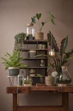 Mica Decorations Pots, Cache-pots Et Jardinières D'extérieur Cache-pot En Jute Noir H20 -Parasols Soldes Magasin cache pot en jute noir h20 3