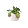 Junny Pots, Cache-pots Et Jardinières D'extérieur Cache-pot Xxl En Béton Beige 2 Junny Pots, Cache-pots Et Jardinières D'extérieur Cache-pot Xxl En Béton Beige -Parasols Soldes Magasin cache pot xxl en beton beige 2