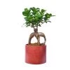 Junny Pots, Cache-pots Et Jardinières D'extérieur Cache-pot Xxl En Béton Brique -Parasols Soldes Magasin cache pot xxl en beton brique