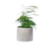 Junny Pots, Cache-pots Et Jardinières D'extérieur Cache-pot Xxl En Béton Gris -Parasols Soldes Magasin cache pot xxl en beton gris 1
