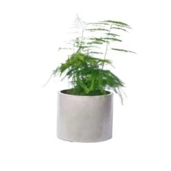 Junny Pots, Cache-pots Et Jardinières D'extérieur Cache-pot Xxl En Béton Brique -Parasols Soldes Magasin cache pot xxl en beton gris 12