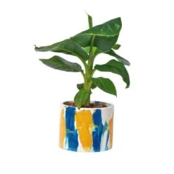 Junny Pots, Cache-pots Et Jardinières D'extérieur Cache-pot Xxl Tie&dye En Béton Orange Et Turquoise -Parasols Soldes Magasin cache pot xxl tie dye en beton bleu petrole et jaune