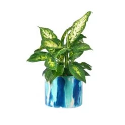 Junny Pots, Cache-pots Et Jardinières D'extérieur Cache-pot Xxl Tie&dye En Béton Bleu Pétrole Et Jaune -Parasols Soldes Magasin cache pot xxl tie dye en beton bleu petrole et turquoise 4