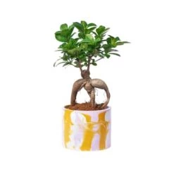 Junny Pots, Cache-pots Et Jardinières D'extérieur Cache-pot Xxl Tie&dye En Béton Bleu Pétrole Et Jaune -Parasols Soldes Magasin cache pot xxl tie dye en beton rose et jaune 2