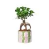 Junny Pots, Cache-pots Et Jardinières D'extérieur Cache-pot Xxl Tie&dye En Béton Rose Et Vert